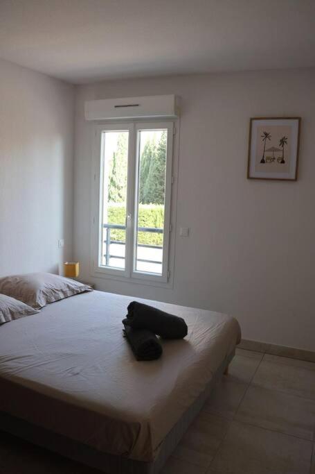 Suberbe Appartement Climatise Avec Terrasse Saint-Raphaël Eksteriør bilde