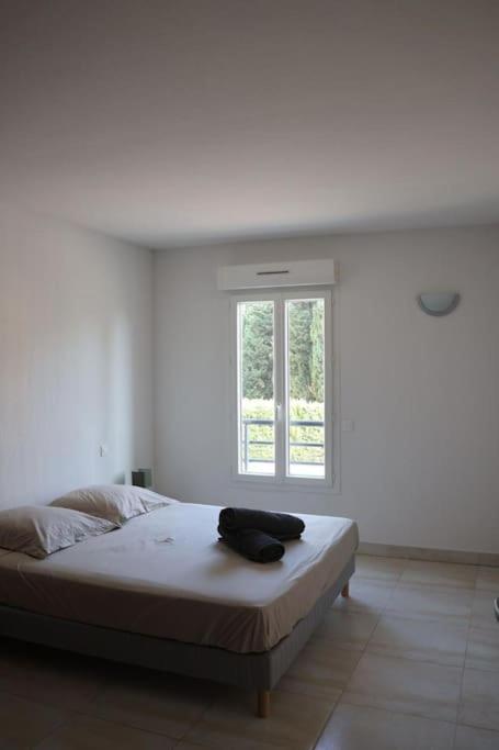 Suberbe Appartement Climatise Avec Terrasse Saint-Raphaël Eksteriør bilde